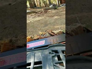 Yard clean up Polaris sportsman with a swisher universal dump bucket attachment