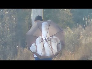 Live test 1st and 2nd amendment audit