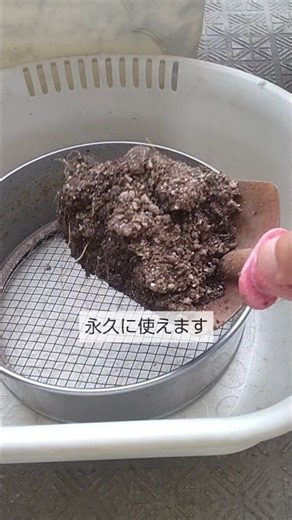 プランターの土の再生 プランターの土は これさえすれば永久に使えます 連作障害の予防にもなります！必ずして下さい！