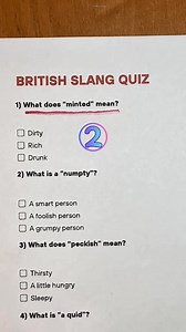 British slang quiz 🇬🇧 #british #slang #britain #unitedkingdom #uk | Don't Know