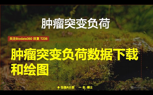 新版TCGA肿瘤突变负荷R脚本，一键绘制瀑布图，简单高效