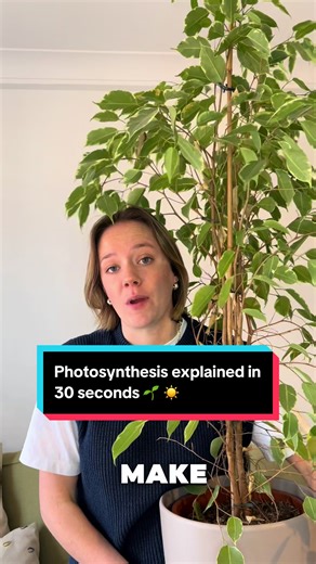 Photosynthesis Explained for GCSE Biology