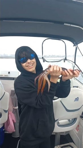 big arrow squid by the sea #squid #fishing #sea #food #big #davidgoggins