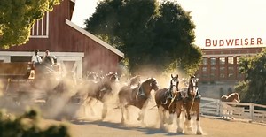 Budweiser's 2025 Super Bowl Commercial Released: Watch It Before The Big Game