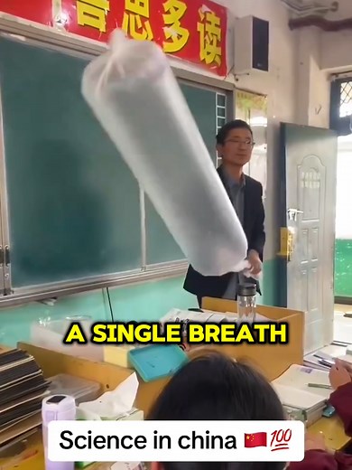 Moment Capsule on TikTok