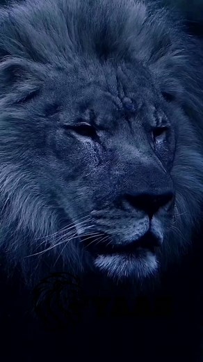 Failure lesson [Motivation-motivationalquotes-motivationalspeech-motivationalvideo-motivationquotes for success in life-motivationalsong-motivational music- quotes about life lesson-quotes about life -Quotes that hit hard-quotes channel- quotes about love-quotes motivation- quotes about friendship-quotes library- lifequotes status-lifequotes in English- lifequotes short-life quotes motivation- lifequotes whatsapp status-motivational study motivation-motivational video for study-motivational vide