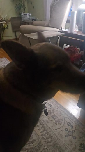 Jerry Morgan on Reels