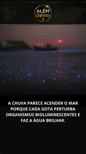organismos bioluminescentes e faz a água brilhar