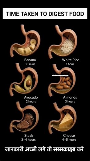 How Long Does Food Take to Digest. Fast vs Slow Digesting Foods - Complete Guide #healthylifestyle