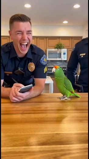 26K views · 654 reactions | Savage Parrot’s Hilarious Meltdown at the Vet  You’ve never seen a parrot this dramatic! The moment the vet picks up that syringe… chaos begins. 列 Tag a friend who would react the same way at the doctor’s office!  Follow Savage Parrot for daily laughs and more sassy bird moments! #SavageParrot #FunnyAnimals #BirdComedy #PetHumor #ViralVideo #ParrotReacts #AnimalLovers #BirdFans | Savage Parrot | Facebook