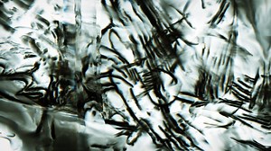 sfumato (film version) | robert seidel | 2020