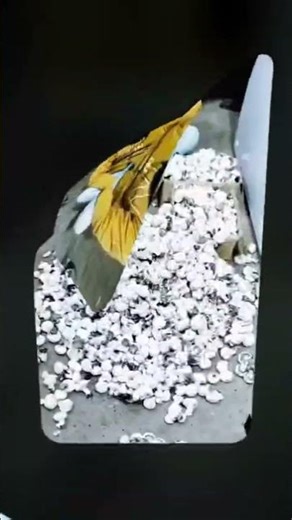 MASROOM | Enter the Creative Zone