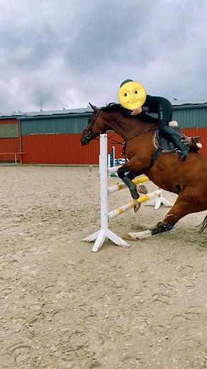 @umilio_m antworten unpassend in die Kombi gekommen🌝Hattet ihr schon Reitunfälle?🐴#horselife #springpferd #OrteFürAlle #showjump #horsefail #horses