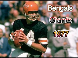 Hard Hitting Action(Giants At Bengals 1977)