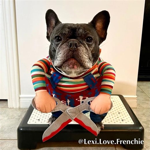 RUNNING with Scissors❣️ - Love RV Glamping