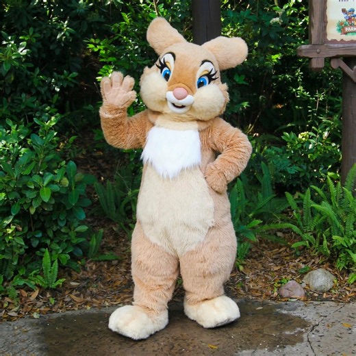 Easter Bunny Costume Professional Mascot Adult Size Rabbit Suit for Spring Events Mall Quality Character Outfit With Vest and Bowtie Props - Etsy