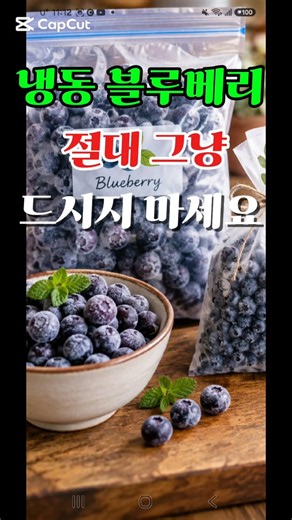 냉동 블루베리 절대 그냥드시지 마세요 #냉동블루베리먹는방법 #건강밥상 #건강 #건강생활 #레시피