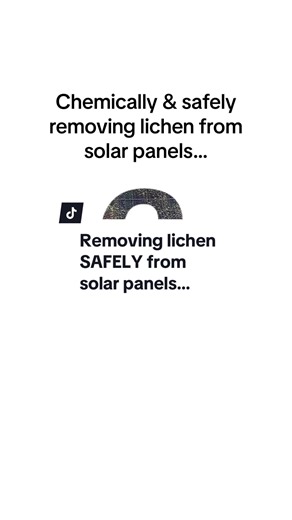 Lichen Removal from Solar Panels: Safe Methods Guide