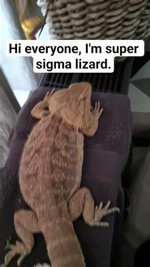 My new name is Super Sigma Lizard. #Bosse