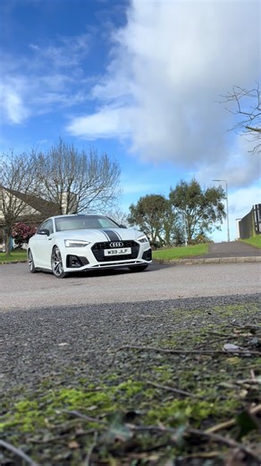 Preparing for the Show After Fixing Oreo’s Bumper