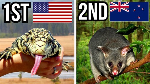 5 Countries With The Most Invasive Species