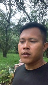 Good luck 5k para nimo | Ting Berting