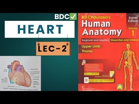 Heart ( RIGHT ATRIUM )| lecture-2 | From BDC✅