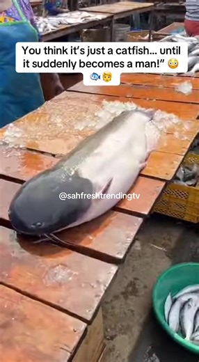 When Catfish Turns Into a Man: A Spine-Chilling Encounter