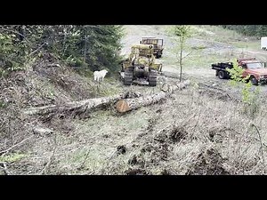 Selective Logging