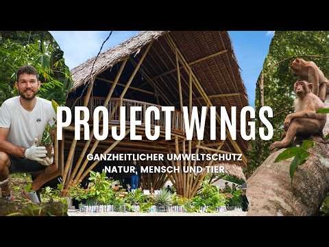 Ein ganzheitliches einzigartiges Umweltschutz System | Project Wings