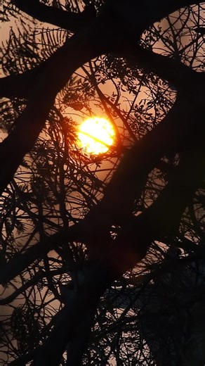 Opacarophile🤎🍂#opacarophile #sunset #weekend