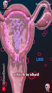 La vida secreta del ciclo menstrual 🌙🔍‍♀️ . . . . #fblifestyle | Smart Doctor en Español