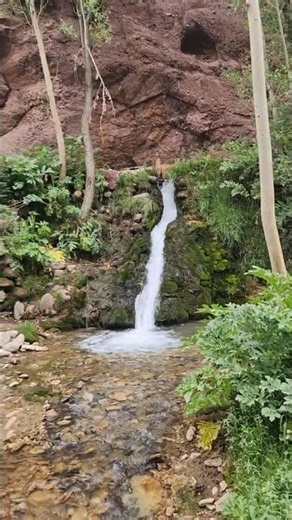 Relaxing Natural Spring Waterfall | Beautiful Nature Sounds 🌿 #Shorts