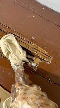 Termite Damaged wood repaired with PC Woody