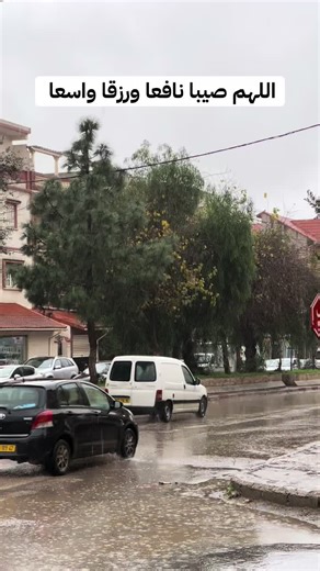 Vidéos de WASSIM ET WASSIM (@wassim_et_wassim) avec الصوت الأصلي - ياسر الحزيمي