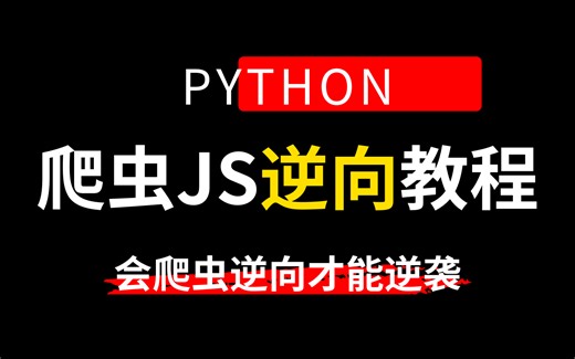 【会爬虫逆向才能逆袭】3天搞定JS逆向！Python进阶天花板教程！自学必备！JS逆向/逆向算法/逆向混淆/APP逆向/cookie反爬