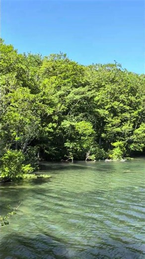 青森県 蔦沼2