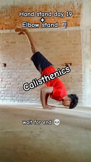 perfect hand stand and elbow stand for beginners. #skill #strenght #handstandworkout #reels