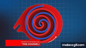 Scroll compressor / spiral compressor / scroll pump - How it works! (Animation) on Make a GIF