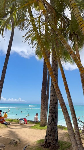 Who else wishes they were at Waikiki Beach right now? 🌊🙋‍♀️ #waikiki #funactivities #beachlife #hawaii #TropicalEscape | Spirit of Hawaii