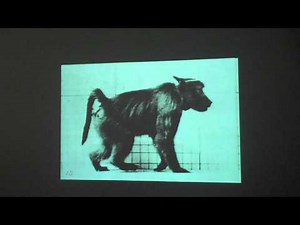 Eadweard Muybridge animated