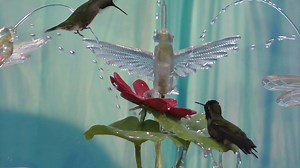 25K views · 897 reactions | Playing with new props and Slo-Mo, gosh are the Hummers fun! | Hummingbird Playground Fountain | Facebook