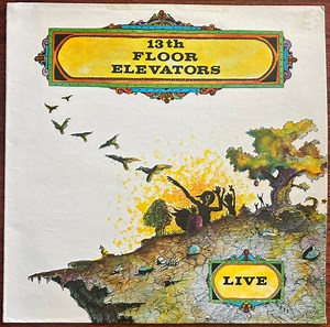 13th Floor Elevators - Live