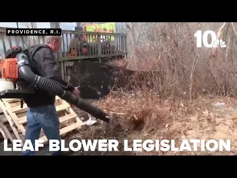 Landscapers voice concerns as measure to ban gas-powered leaf blowers passes first vote