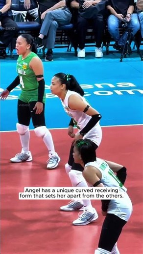 Angel Canino defense form. 😙