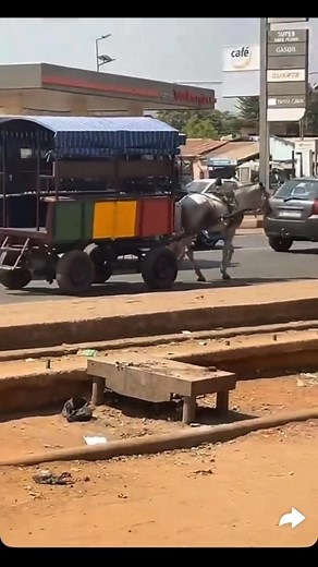 Tellement beau 😍 🇲🇱🤍🙌 | Maliplanw Media