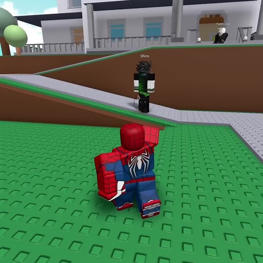 Natural Disaster Roblox: Dress to Impress Gameplay