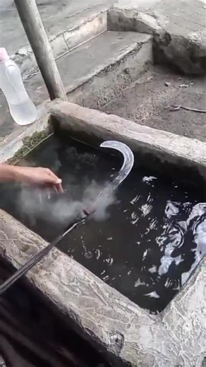 This is the process of the blacksmith tempering or hardening the fruit harvesting tool using water technique #Blacksmithing #WaterTempering #FruitHarvestingTool #MetalHardening #Traditional #Explore #MetalArt #Wildlife #Culture | Heendriee
