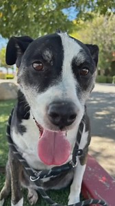 4.1K views · 226 reactions | You saw Phyllis on last night's...