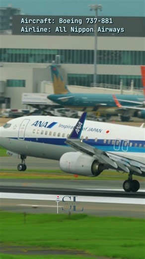 [JA71AN] ANA B737-800 CloseUp Landing at Fukuoka Airport | #aviation #planespotting